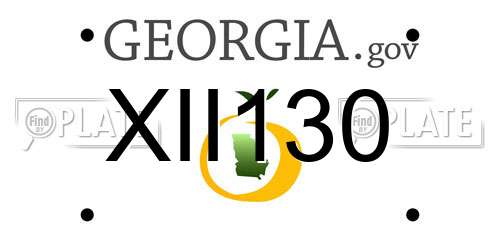 XII130 Georgia License Plate