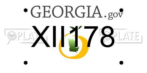 XII178 Georgia License Plate
