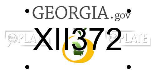 XII372 Georgia License Plate