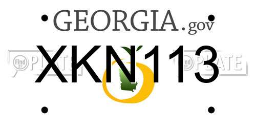 XKN113 Georgia License Plate