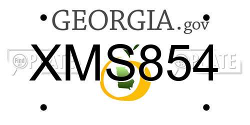 XMS854 Georgia License Plate