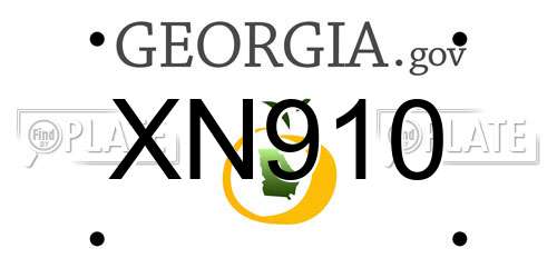 XN910 Georgia License Plate