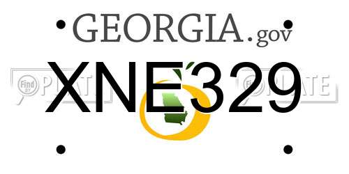 XNE329 Georgia License Plate