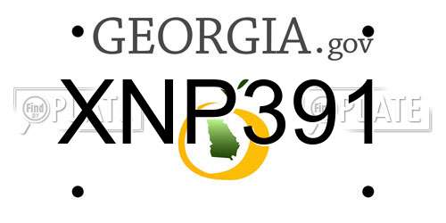XNP391 Georgia License Plate