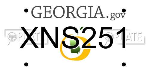 XNS251 Georgia License Plate