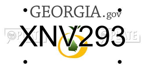 XNV293 Georgia License Plate