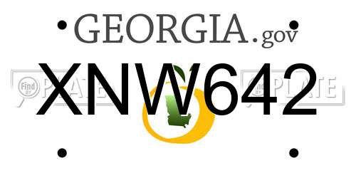XNW642 Georgia License Plate