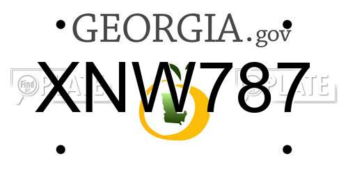 XNW787 Georgia License Plate