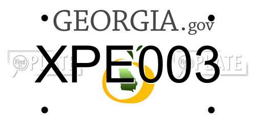 XPE003 Georgia License Plate