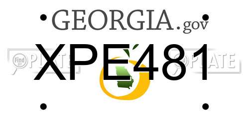 XPE481 Georgia License Plate