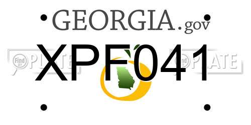 XPF041 Georgia License Plate
