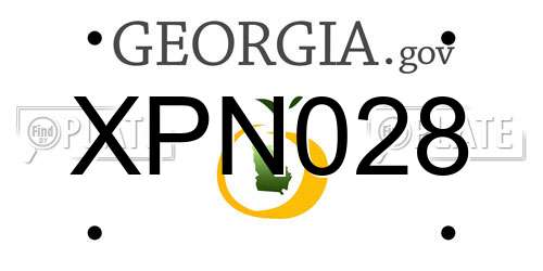 XPN028 Georgia License Plate