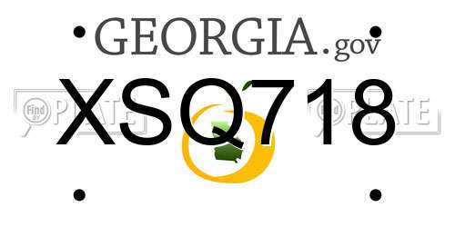 XSQ718 Georgia License Plate