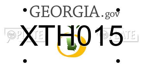 XTH015 Georgia License Plate