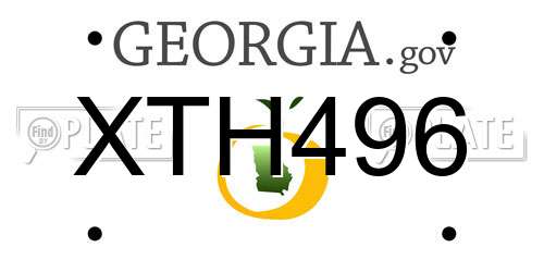 XTH496 Georgia License Plate