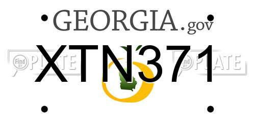 XTN371 Georgia License Plate