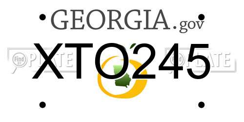 XTO245 Georgia License Plate