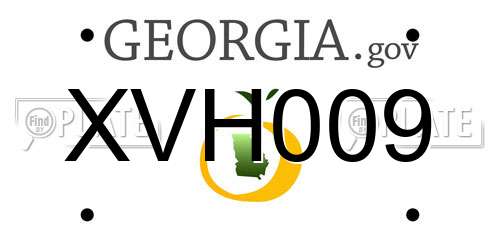 XVH009 Georgia License Plate