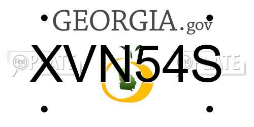XVN54S Georgia License Plate