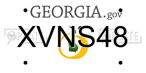 XVNS48 Georgia License Plate