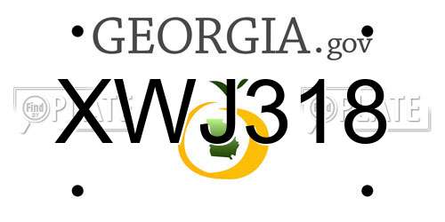 XWJ318 Georgia License Plate