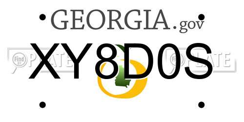 XY8D0S Georgia License Plate