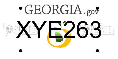 XYE263 Georgia License Plate