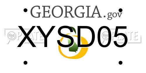 XYSD05 Georgia License Plate
