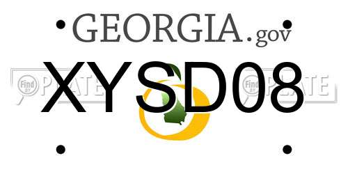 XYSD08 Georgia License Plate