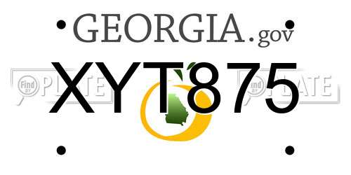 XYT875 Georgia License Plate