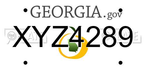 XYZ4289 Georgia License Plate
