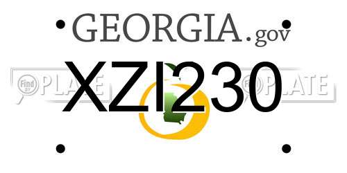 XZI230 Georgia License Plate