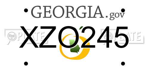 XZO245 Georgia License Plate