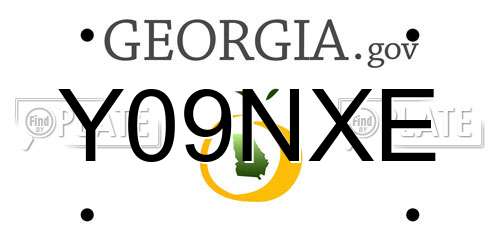 Y09NXE Georgia License Plate