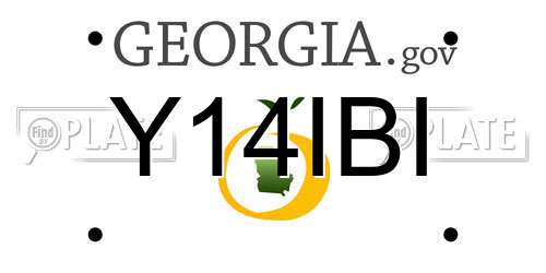 Y14IBI Georgia License Plate