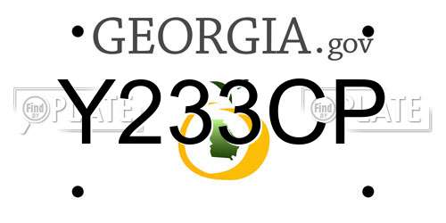 Y233CP Georgia License Plate