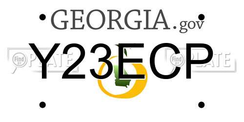 Y23ECP Georgia License Plate