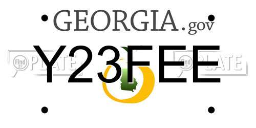Y23FEE Georgia License Plate