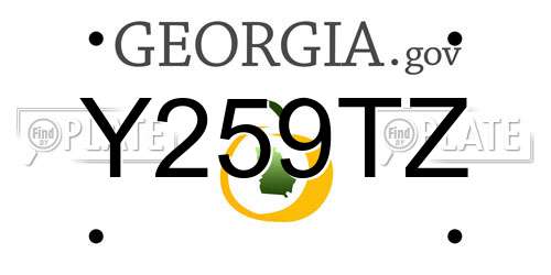 Y259TZ Georgia License Plate