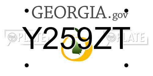 Y259ZT Georgia License Plate
