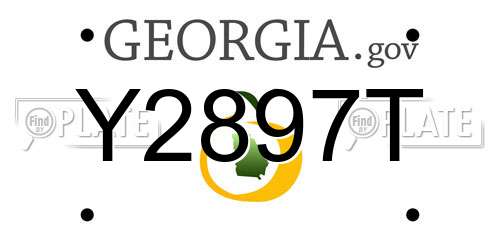 Y2897T Georgia License Plate