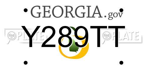 Y289TT Georgia License Plate
