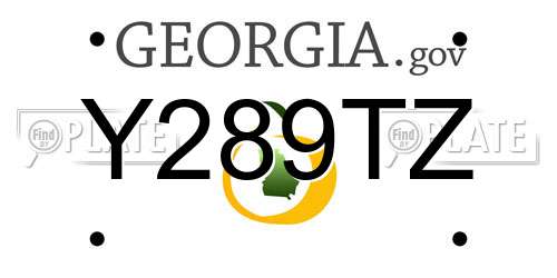 Y289TZ Georgia License Plate