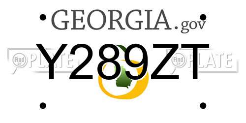 Y289ZT Georgia License Plate
