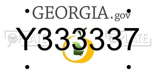 Y333337 Georgia License Plate