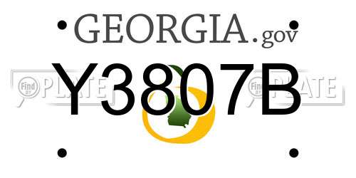 Y3807B Georgia License Plate