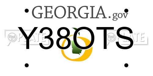 Y38OTS Georgia License Plate