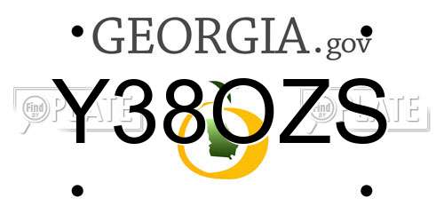Y38OZS Georgia License Plate