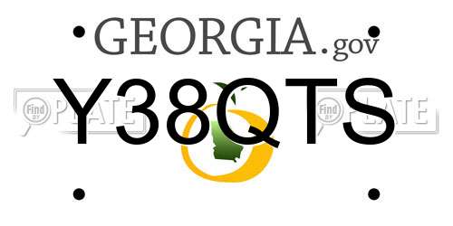 Y38QTS Georgia License Plate