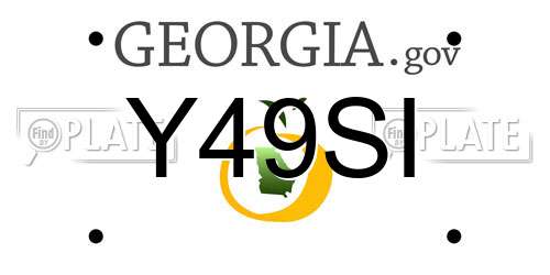 Y49SI Georgia License Plate